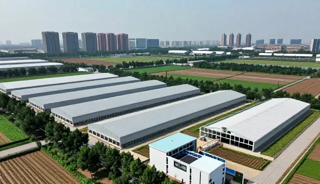 哈尔滨飞掣智能科技有限公司解答关于注重智能方案的问题